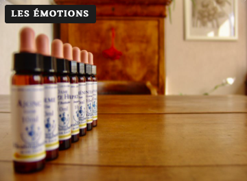 Conseil en fleurs de Bach