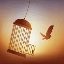 Séance de suivi Hypnose jeune ( à partir de 7 ans)