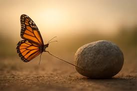 Première séance d'hypnose