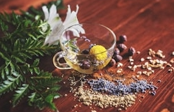 Bilan naturopathique